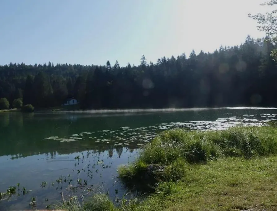 Appartement Studio Avec Belle Vue Proche Du Lac Genin Echallon