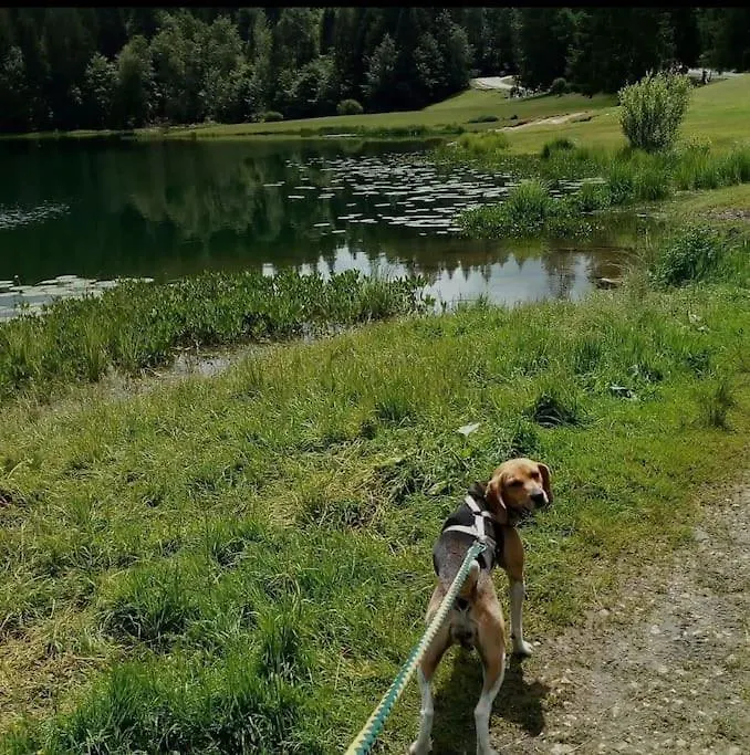 Studio Avec Belle Vue Proche Du Lac Genin Echallon Appartement